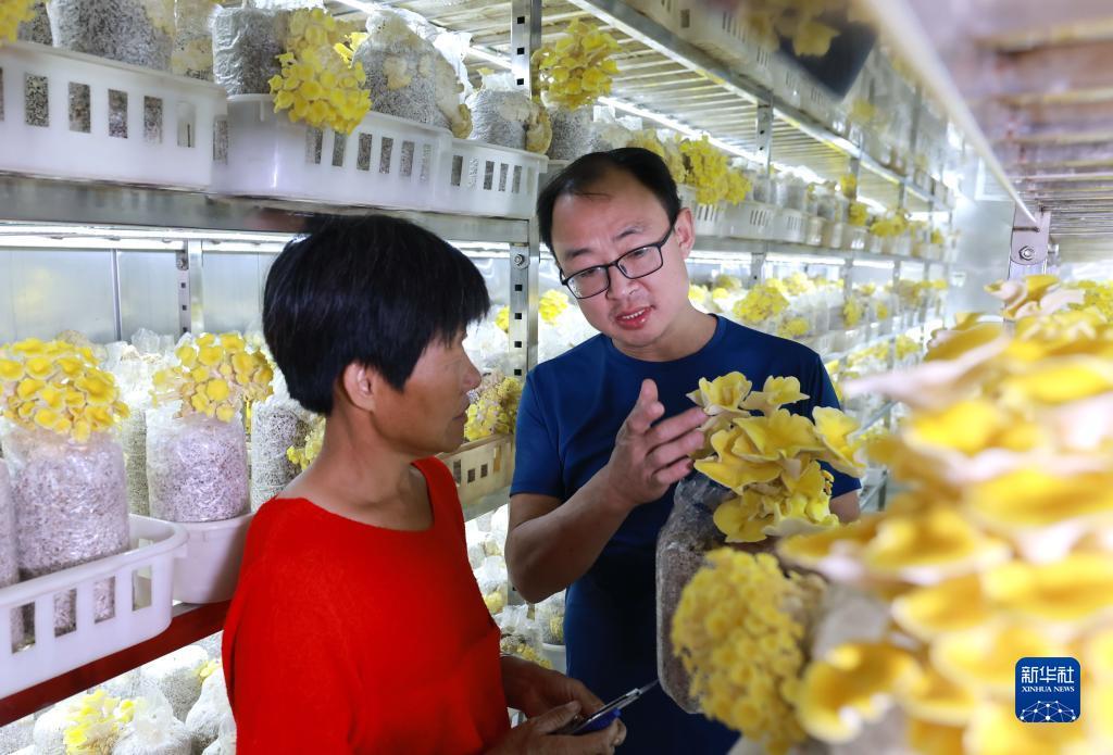 银河 下载