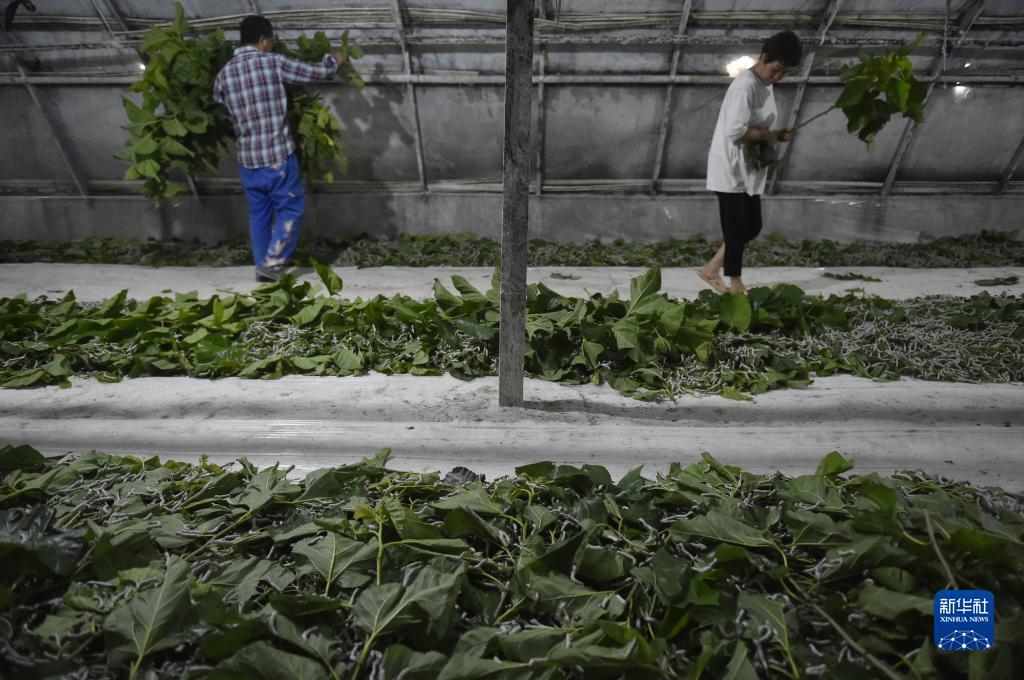 澳门所有电子游戏网站